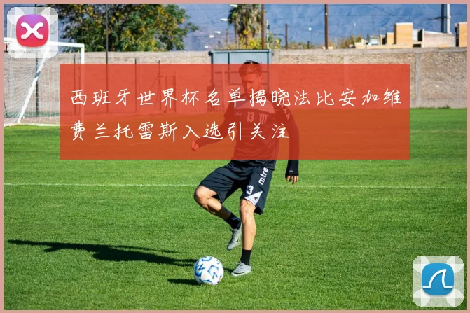 西班牙世界杯名单揭晓法比安加维费兰托雷斯入选引关注